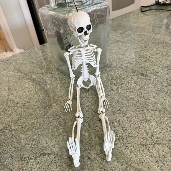 Skeleton Halloween Decorations. Hang or Sit Moveable Parts. 18” - Picture 4 of 4